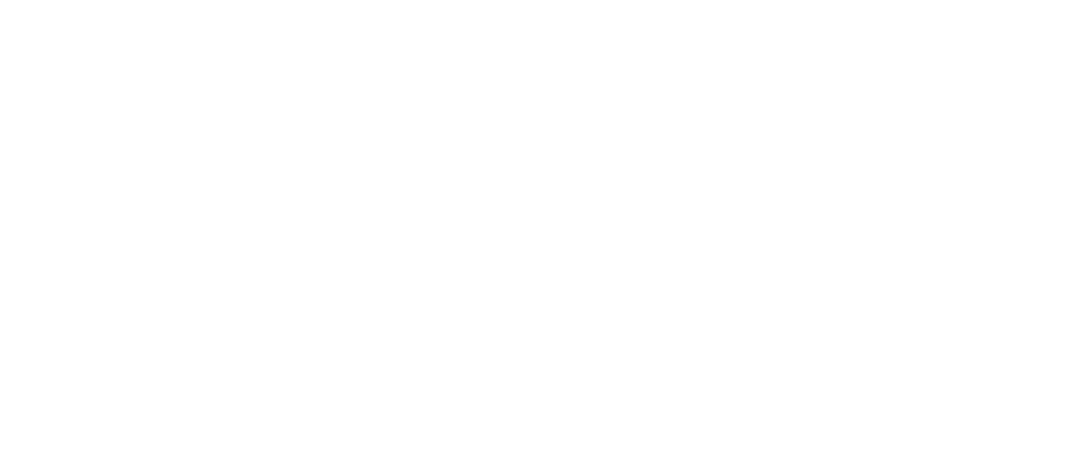 Dellin Investments logo